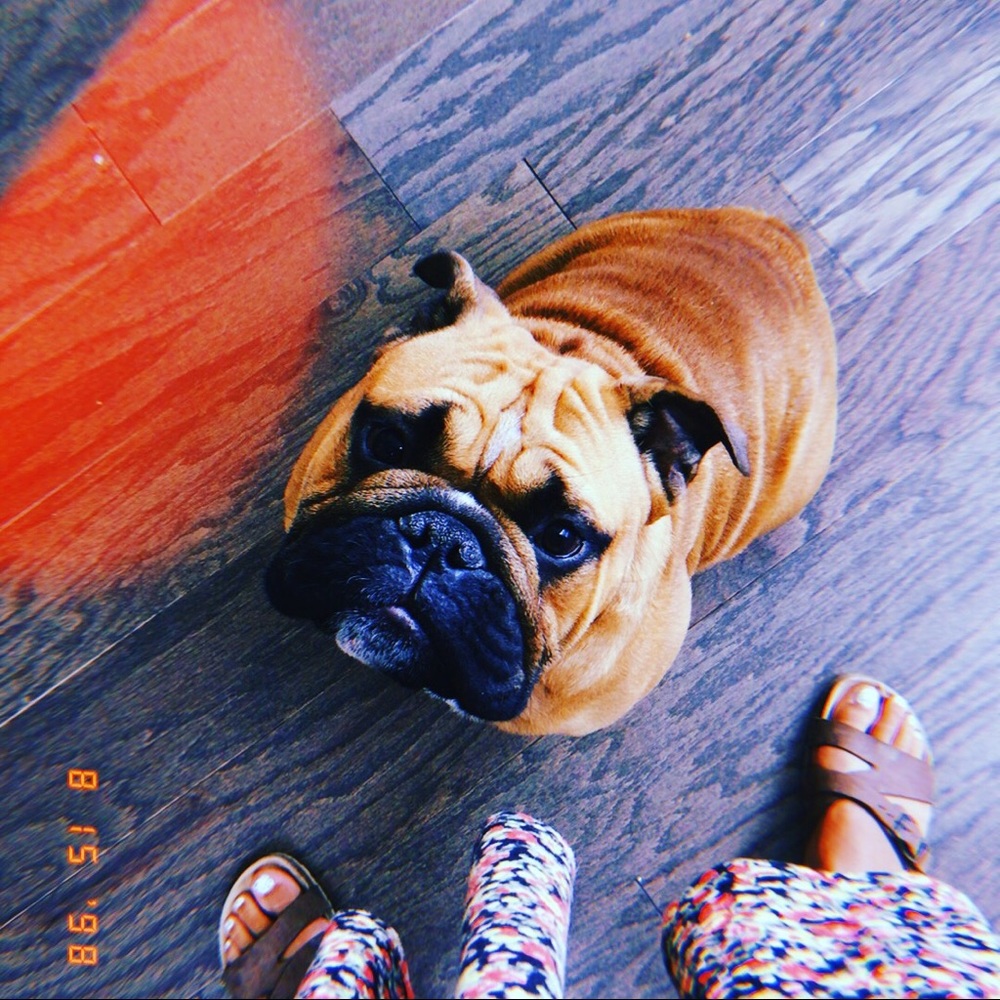 Meet your Posher, Alanna